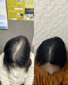 当院症例
