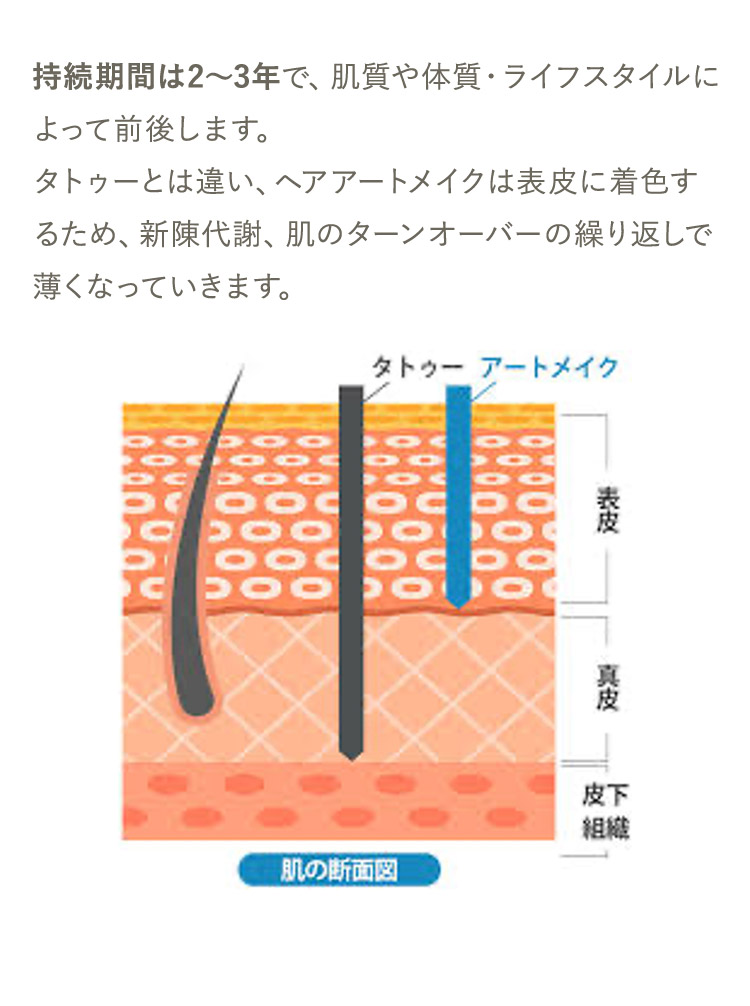 効果は2から3年持続 持続期間は2から3年で、肌質や体質・ライフスタイルによって前後します。 タトゥーとは違い、ヘアアートメイクは表皮に着色するため、新陳代謝、肌のターンオーバーの繰り返しで薄くなっていきます。肌の断面図