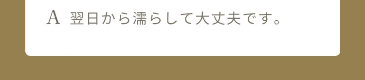 A シャンプーは4日目から可能で、当日は濡れないように、2から3日はお湯のみでの洗浄でお願い致します。