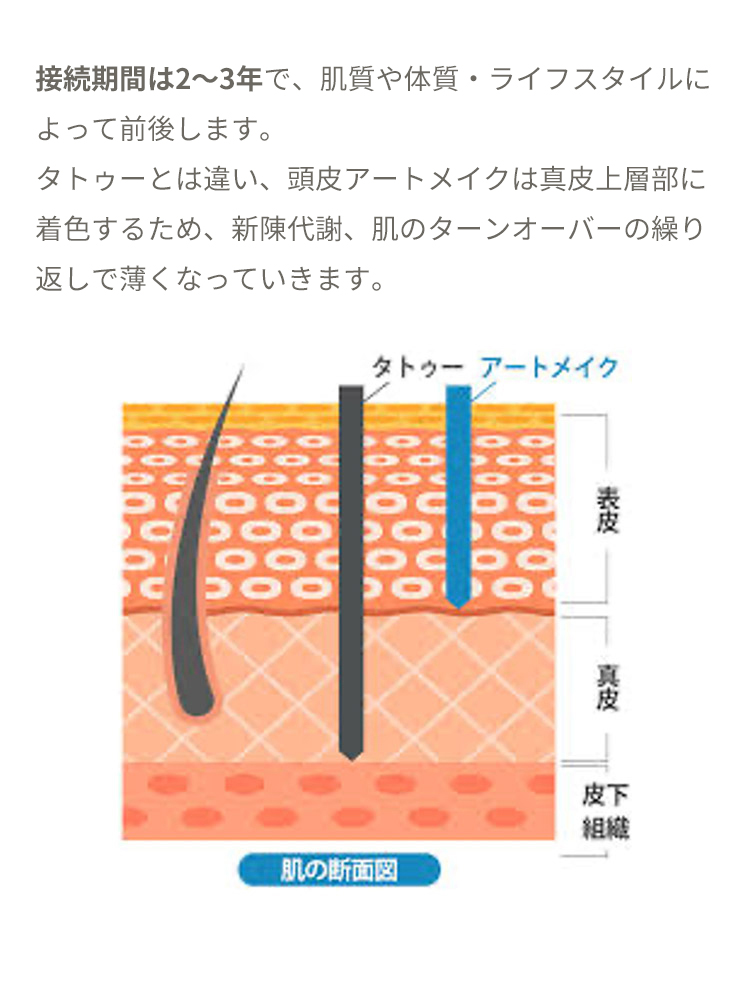 効果は2から3年持続 持続期間は2から3年で、肌質や体質・ライフスタイルによって前後します。 タトゥーとは違い、ヘアアートメイクは表皮に着色するため、新陳代謝、肌のターンオーバーの繰り返しで薄くなっていきます。肌の断面図