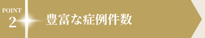 POINT2 豊富な症例件数